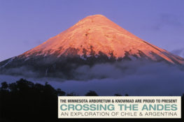 The Andes