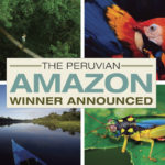Winner, Winner, Heck-of-a-lot more than Chicken Dinner