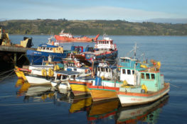 Boats in Chiloe