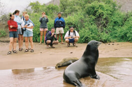 Group Travel with Knowmad Adventures
