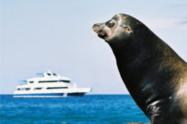 Galapagos Islands