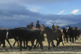 Overseas Adventure Travel