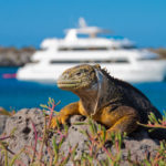 Best Galapagos Cruises
