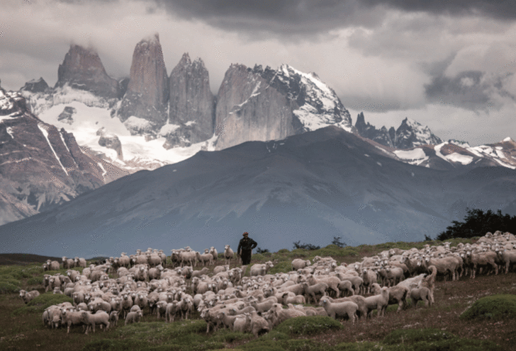 Amongst mountains and gauchos: an incredible journey through time in the  Torres del Paine Conservation Reserve Explora Hotels