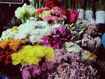 Peru Vacation - Flower Market