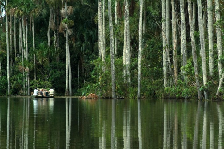 Peru Weather Amazon 