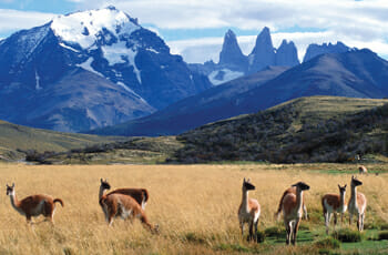Tourist attractions of Chile