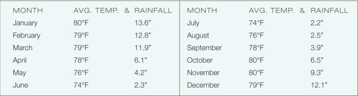 Weather in the Amazon Rainforest