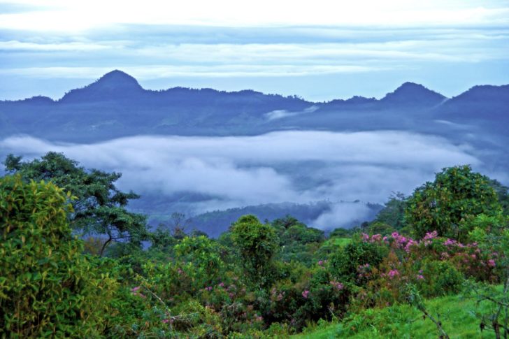 Adventure Treks - Cloud Forest