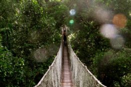 Adventure Treks