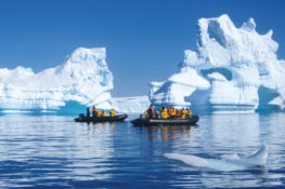 Antarctica Travel