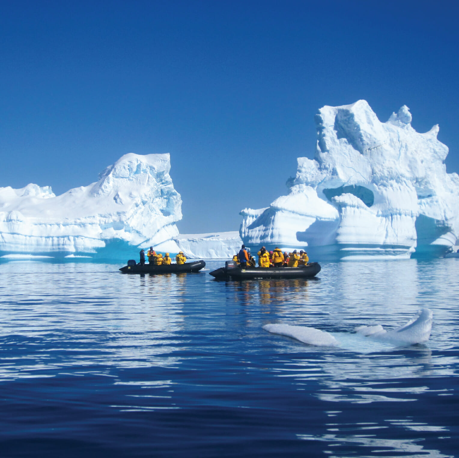 Антарктида путешествие цена. Антарктида. Путешествие в Антарктиду. Антарктида фото. Арктическое путешествие.