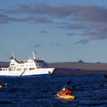 Exceptional Galapagos Cruises at Great Values