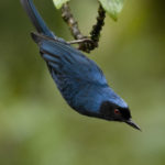 Ecuador Travel
