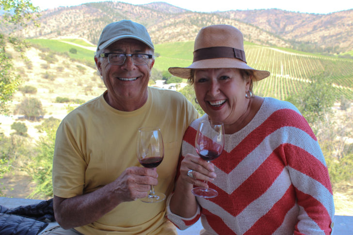 Vineyards in Chile