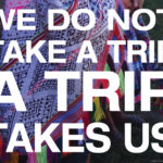 We Do Not Take A Trip - A Trip Takes Us