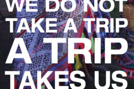 We Do Not Take A Trip - A Trip Takes Us