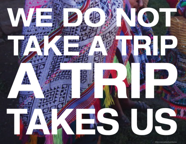 We Do Not Take A Trip - A Trip Takes Us