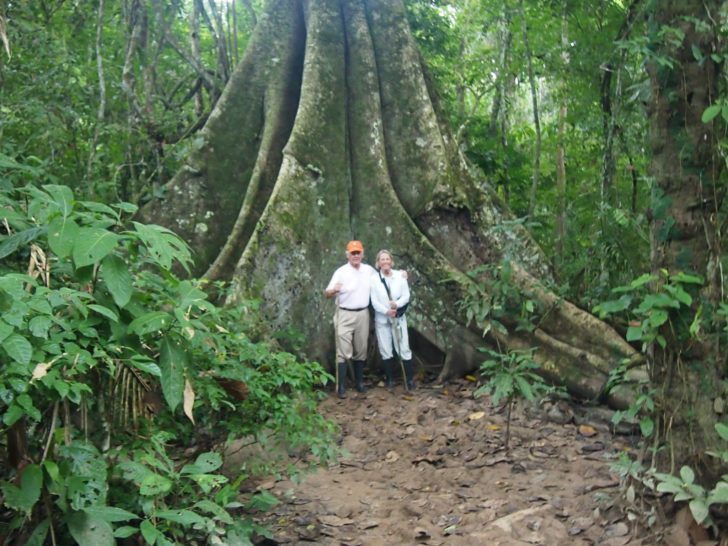 Amazon Jungle Trip