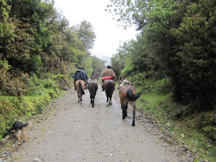 Horseback Riding in South America