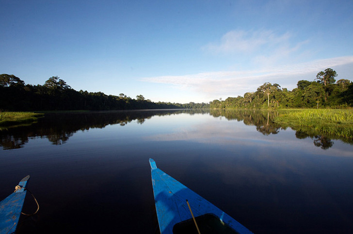 Amazon Jungle Travel