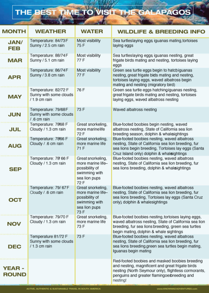 Best Time to Visit the Galapagos Islands