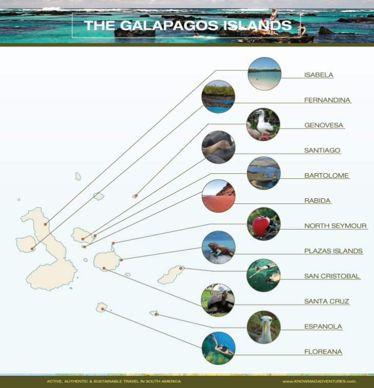 Best Time to Visit the Galapagos Islands