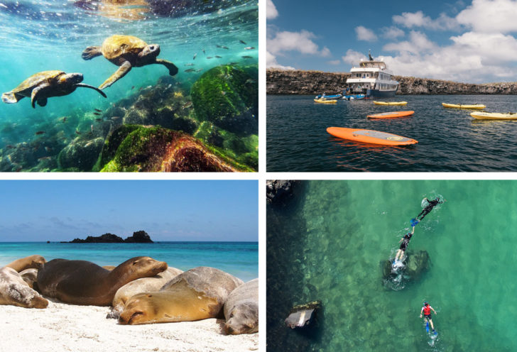 Galapagos Island Ecuador 