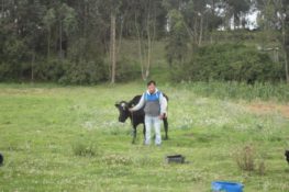 Micro-Loan South America Travel