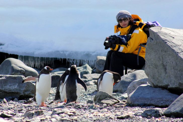 Travel Deals Antarctica