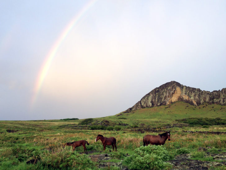 Easter Island Travel Photography 