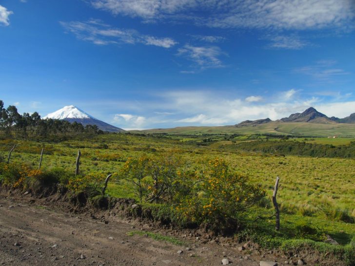 Ecuador Travel Experience