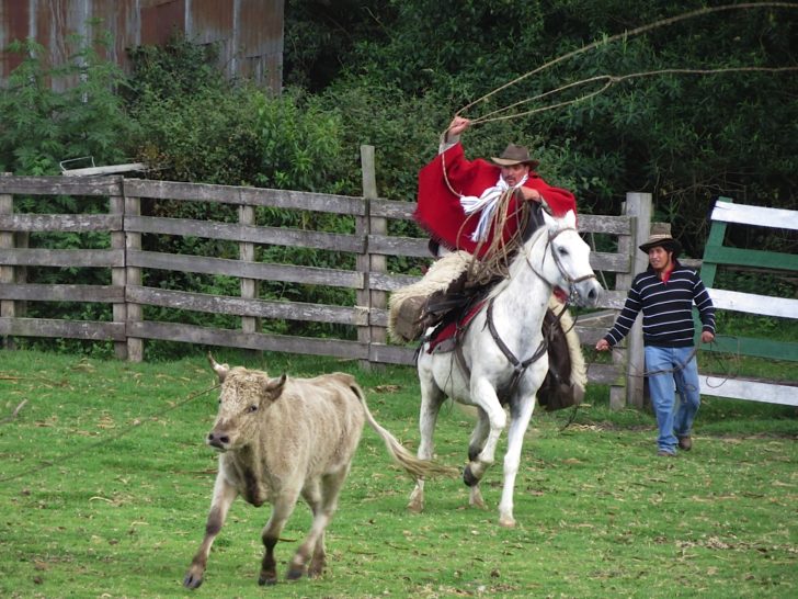 Ecuador Travel