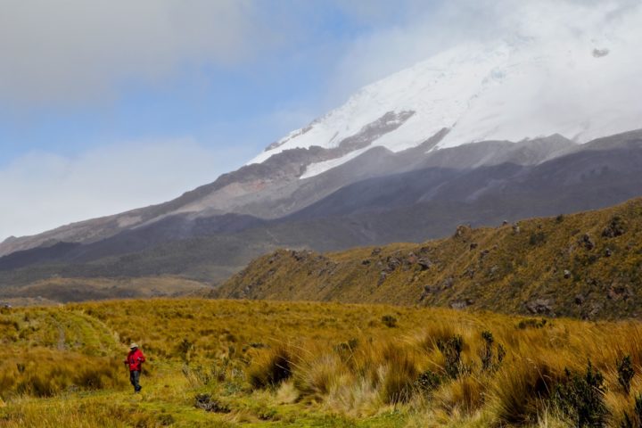 Ecuador Travel Experience