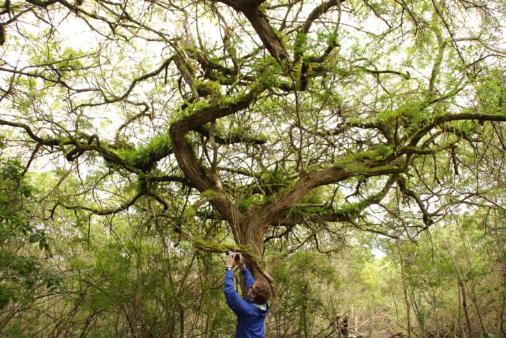 Galapagos Islands Active Adventure Tour by Land