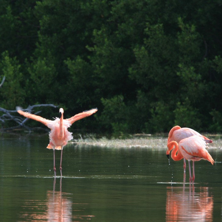 Galapagos Islands Active Adventure Trip