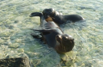 Galapagos Islands Land Based Tour