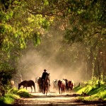 Hacienda Zuleta Ecuador Horseback Riding