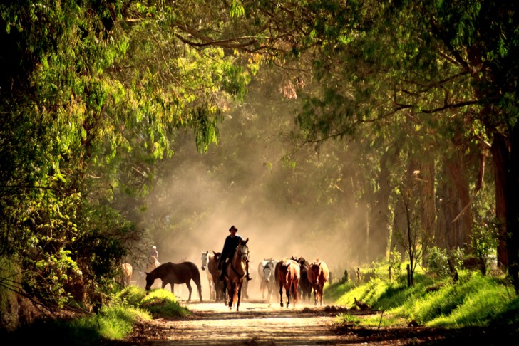 Hacienda Zuleta Ecuador Horseback Riding
