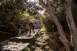 Trip to Machu Picchu