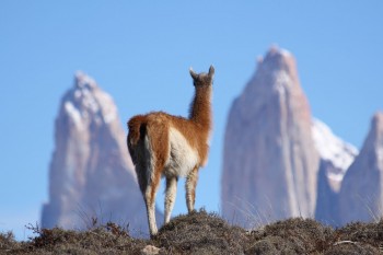 Awasi Patagonia Lodge Torres del Paine