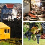 Chile: Farm-to-Table Food + Wine Deal