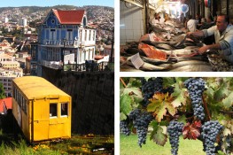 Chile Farm to Table Food and Wine