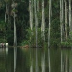 Peruvian Amazon Trip