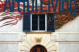 Artful Living Feature Knowmad Adventures