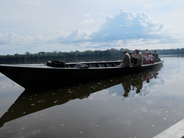 Amazon Jungle Journey