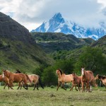 Horseback Riding Patagonia