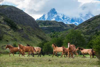 Horseback Riding Patagonia