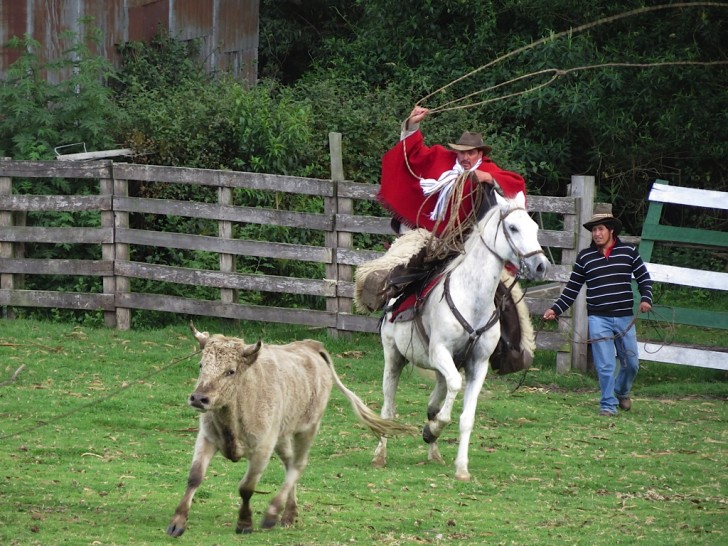 Ecuador Mainland Travel