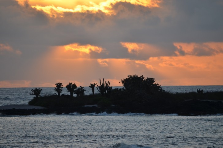 Galapagos Islands Travel Ideas